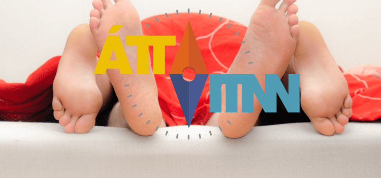 Áttavitinn og tótalráðgjöf